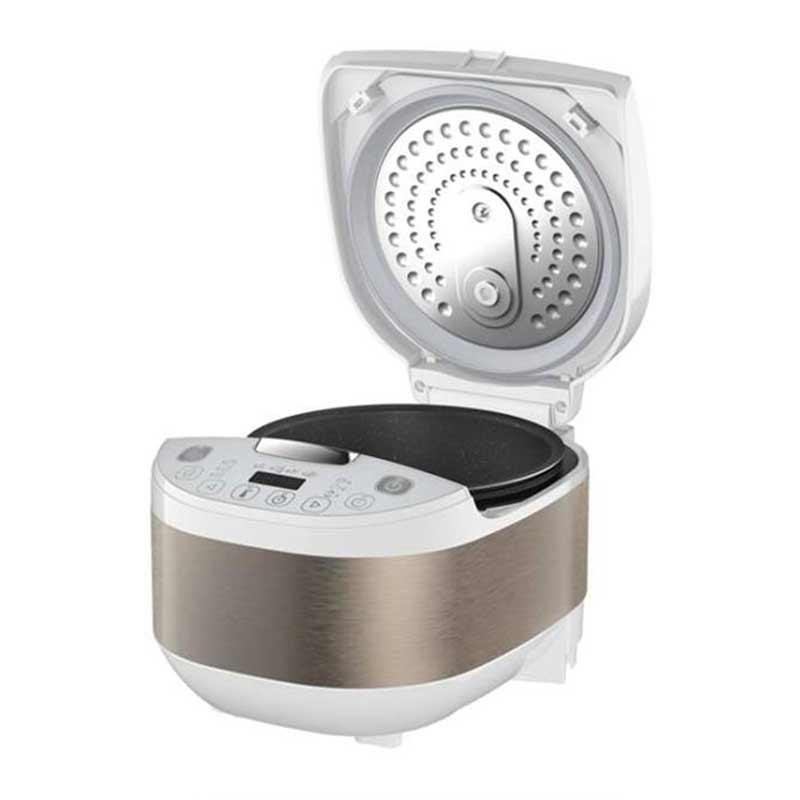 مولتی کوکر تفال مدل TEFAL RK6221