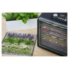 میوه و سبزی خشک کن سنکور مدل SENCOR SFD 6600BK