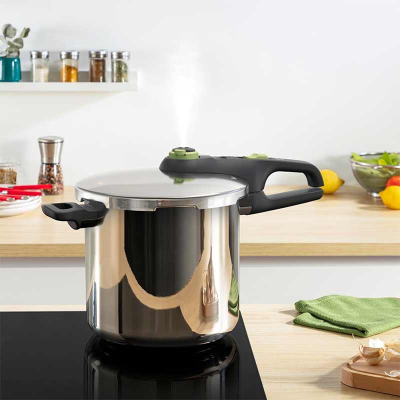زودپز 8 لیتری تفال مدل TEFAL P2584402