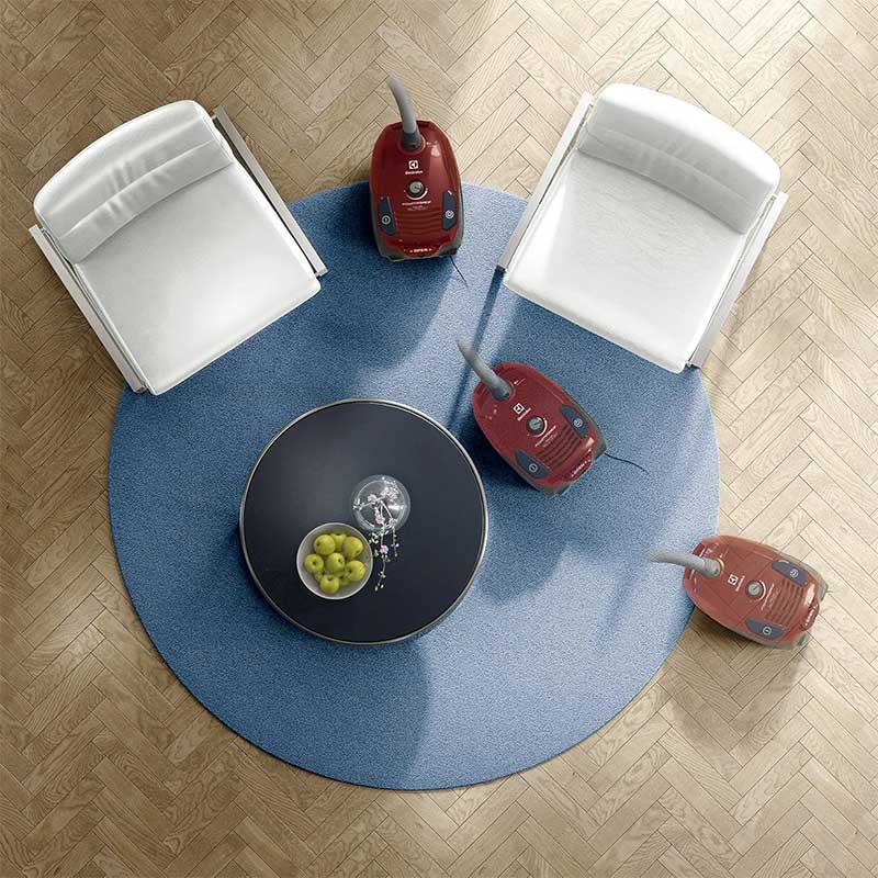 جاروبرقی الکترولوکس مدل ELECTROLUX EPF6 ANIMAL