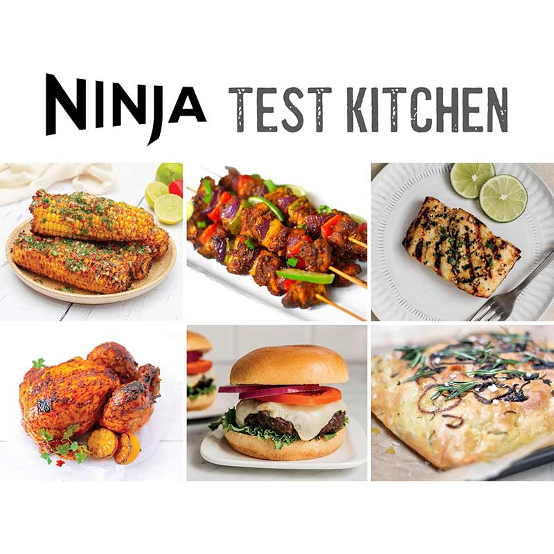 سرخ کن و گریل نینجا مدل NINJA EG351